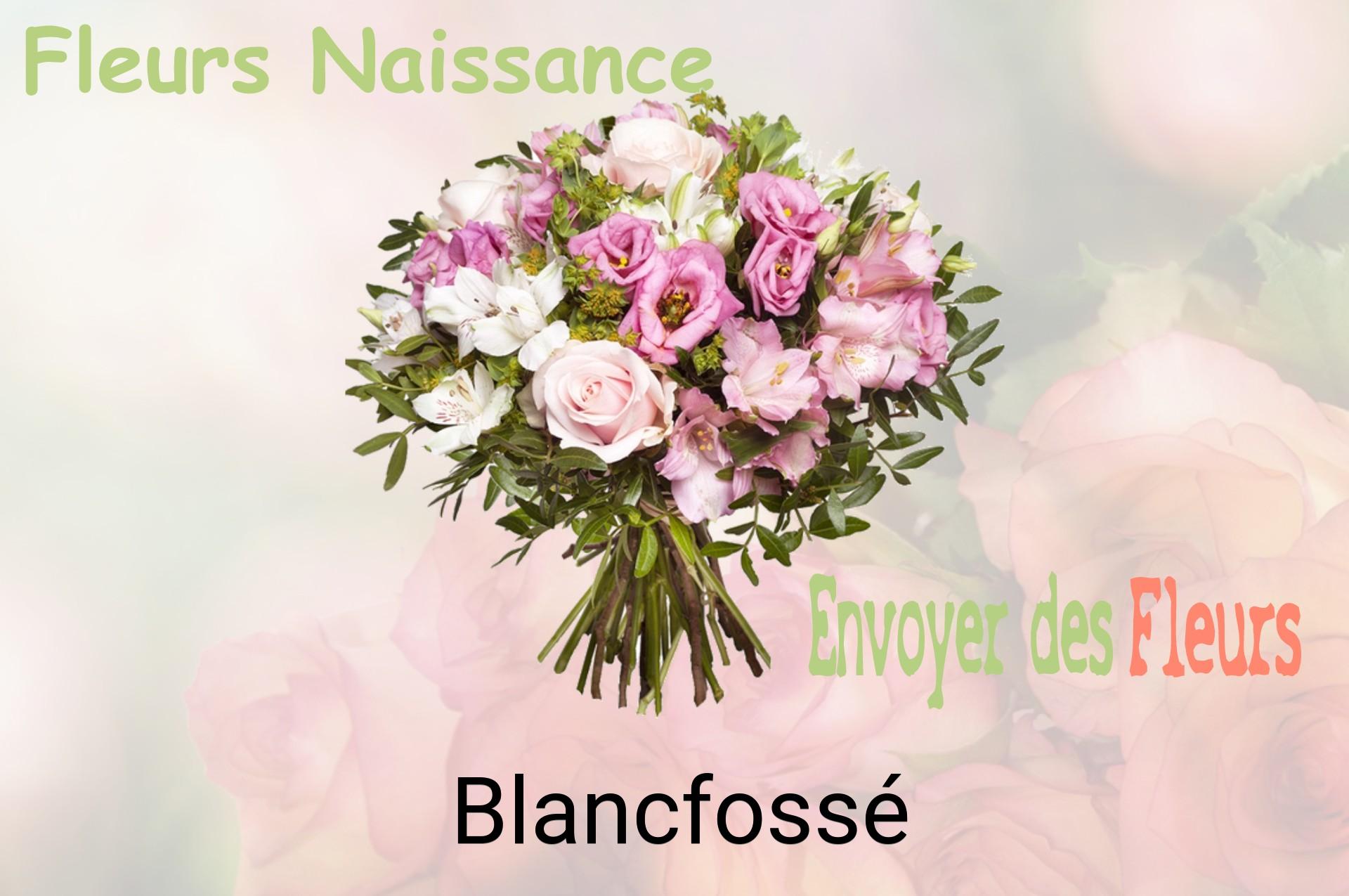 Bouquet de fleurs de naissance livré à Blancfossé